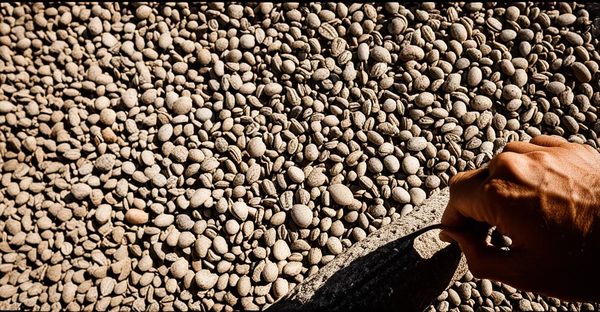 Pass pour rome : le guide essentiel pour optimiser votre visite